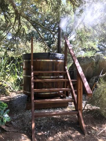 Ruatangata West The Cottage Wai Rua מראה חיצוני תמונה